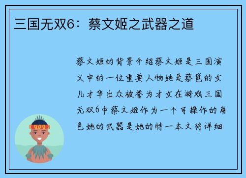 三国无双6：蔡文姬之武器之道